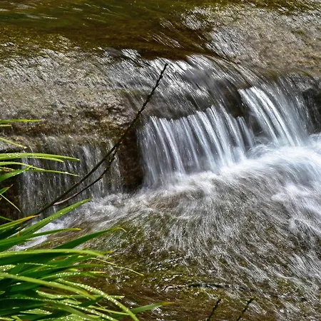 Pure - Termal - By Unlock 蒙希克