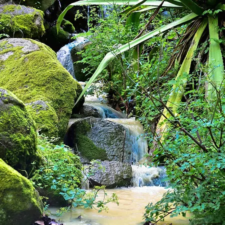 Pure - Termal - By Unlock 酒店 4*